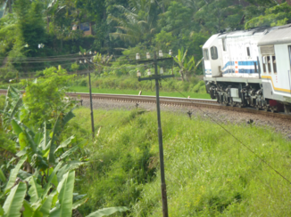 ANWB Vakantie - fantastische treinreis