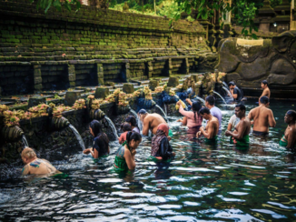 Van Verre reizen Bali - Holy spring