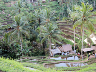 Van Verre reizen Bali