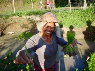 Van Verre reizen Bali